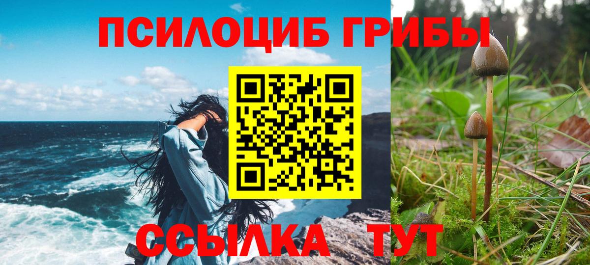 как найти   Вход с VPN  Галлюциногенные грибы Psilocybine cubensis  Обь  Псилоцибиновые грибы мицелий 